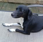 Profile Picture of Daniel Calloway (@daniel.calloway.475890) on Facebook