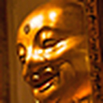 Profile Picture of Andrew Seager-smith (@andrew seager-smith) on Flickr