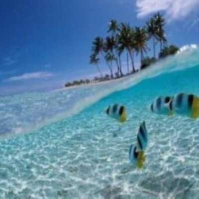 Profile Picture of Matilda Edwards (@edwardsrew) on Twitter