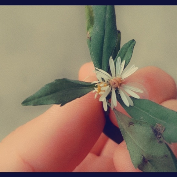 Smriti Rai - Poshmark Profile Picture of Smriti Rai (@railime89) on Poshmark