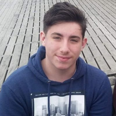 Profile Picture of Josh Howitt (@jsh_Dianite) on Twitter