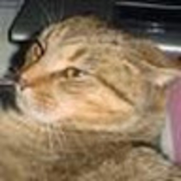 Profile Picture of Scott Frank (@fleetadmiral021) on Poshmark