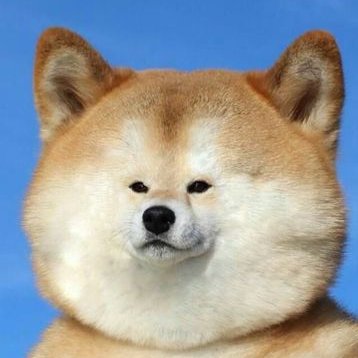 Profile Picture of MiniSOLO (@MiniSOLO3) on Twitter