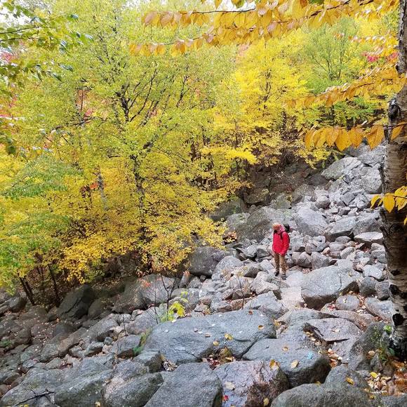 Profile Picture of Chris Souza (@c1souza) on Poshmark