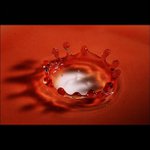 Profile Picture of Curtis Padilla (@curtispadilla) on Instagram