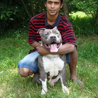 Jimmy Fatol - Facebook Profile Picture of Jimmy Fatol (@jfatol) on Facebook