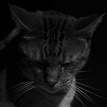 Profile Picture of Jonathan Mashburn (@mashburnphotography) on Flickr