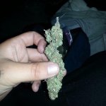 Profile Picture of David Busey (@punepac_thelegend) on Instagram