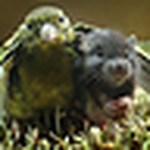 Profile Picture of Ce.b (@ce.b) on Flickr
