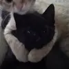 Profile Picture of ɴ ᴇ ʟ ʟ ʏ .ᐟ 🍓🤍 (@berrysnelly) on Tiktok