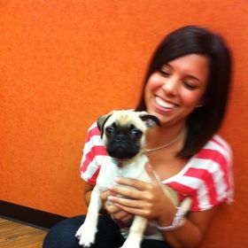 Profile Picture of Alexandra Hayes (@alexandralhayes) on Pinterest