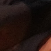 Profile Picture of Luke Haney (@lukehaney8838) on Youtube