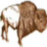 Profile Picture of Joshua Powell (@joshua.powell) on Flickr