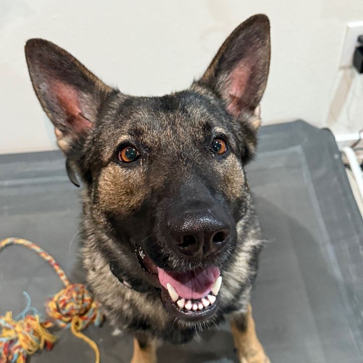 Profile Picture of Amanda (@queenamanda313) on Tiktok