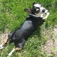 Profile Picture of Luna Alvarez (@luna-alvarez-15) on Quora