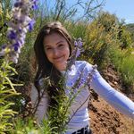 Profile Picture of Cassie (Priebe) Twigg (@casstwigg) on Instagram