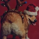 Nettie - Instagram Profile Picture of Nettie (@lynettegoulette) on Instagram