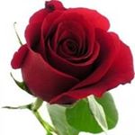 Josefina Chavez - Instagram Profile Picture of Josefina Chavez (@josefina.chavez.520900) on Instagram