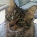 Cheryl Krass Brooks - Instagram Profile Picture of Cheryl Krass Brooks (@laserladybrooks) on Instagram