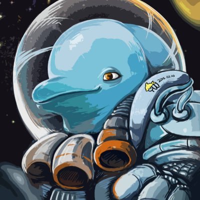 Space Dolphin - Twitter Profile Picture of Space Dolphin (@SeanRausch7) on Twitter