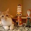 Profile Picture of Chris Mosier (@ckmosier) on Pinterest