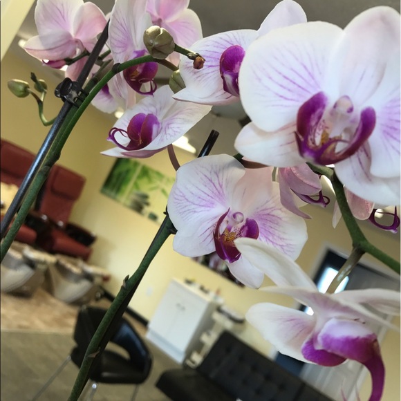 Profile Picture of Kim Thy (@kimthy83) on Poshmark