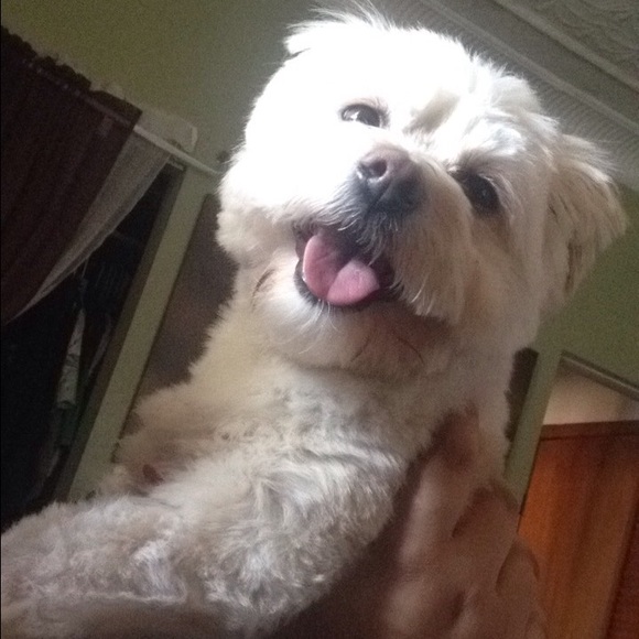 Profile Picture of Lyn Wilson (@littlyn) on Poshmark