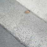 Profile Picture of mathew rivera (@math_yuhhh) on Instagram