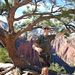 Profile Picture of Bill McDermott (@billm5323) on Pinterest