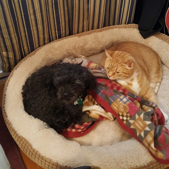 Profile Picture of Matt Ayers (@mattaye11) on Poshmark