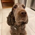 Profile Picture of Monique Claude (@babignon) on Instagram