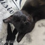 fussel_cut.ie - Instagram Profile Picture of fussel_cut.ie (@fussel_cut.ie) on Instagram