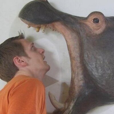 Profile Picture of Robin Parker (@robinfparker) on Twitter