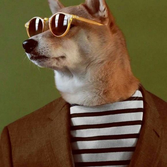 Profile Picture of Louis Gnagy (@port2015) on Poshmark