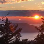 Profile Picture of Dawn Kleinman (@jacayna) on Instagram