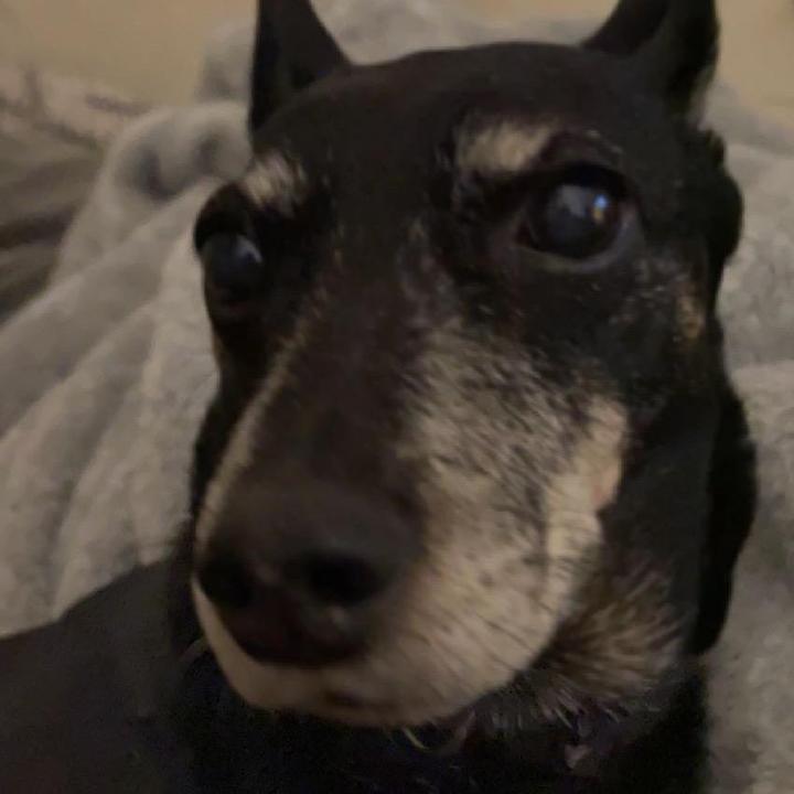 Profile Picture of Carl Moyer (@@thegoatcarl05) on Tiktok