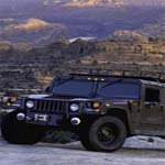 Profile Picture of StacyBernstein (@stacybernsteiny) on Instagram