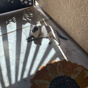 Profile Picture of Kassandra Gonzales (@Kassandragzs) on Youtube