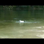 Profile Picture of Brian Parlin (@bparlin) on Youtube