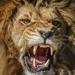 Profile Picture of Kenneth Austins (@kenaustins) on Instagram