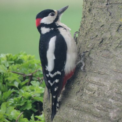 Profile Picture of Miriam Knight (@MiriamK27318169) on Twitter