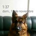 Profile Picture of Carlos Cotes (@carlos.cotes.7543) on Facebook