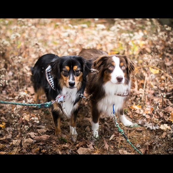 Profile Picture of Chelsea Ciccio (@cmciccio) on Poshmark