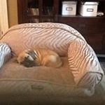 Profile Picture of Kathy Stevenson (@kathystevenson369) on Instagram