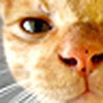Profile Picture of Yuki Nemuri (@yukikaze_ff) on Flickr