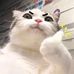 Profile Picture of Dani Nguyen (@nguyen.dani.1485) on Facebook