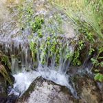 Profile Picture of Mark Wi (@mark.wichmann.1) on Instagram