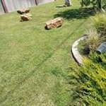 Profile Picture of Anselmo Sanchez (@anselmo.sanchez.3572) on Instagram