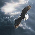 Profile Picture of Jerome Jean Baptiste (@jerom.jeanbaptiste) on Instagram