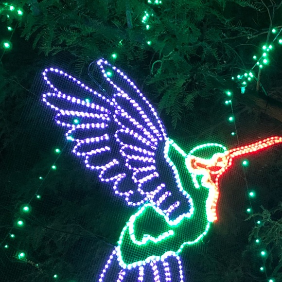 Profile Picture of Alex Monarrez (@alex_monarrez4) on Poshmark